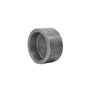 2 in 3000Lb Forged Steel Cap Socket Weld