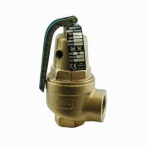 Apollo&trade; 10-615-20 Safety Valve, 1 x 1-1/4 in