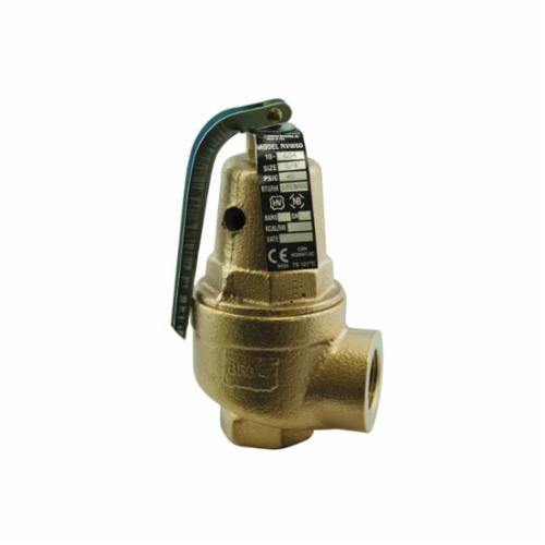 Apollo&trade; 10-614-15 Safety Valve, 3/4 x 1 in