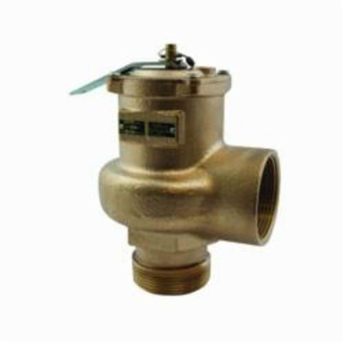Apollo&trade; 1420508 Safety Relief Valve, 2 in
