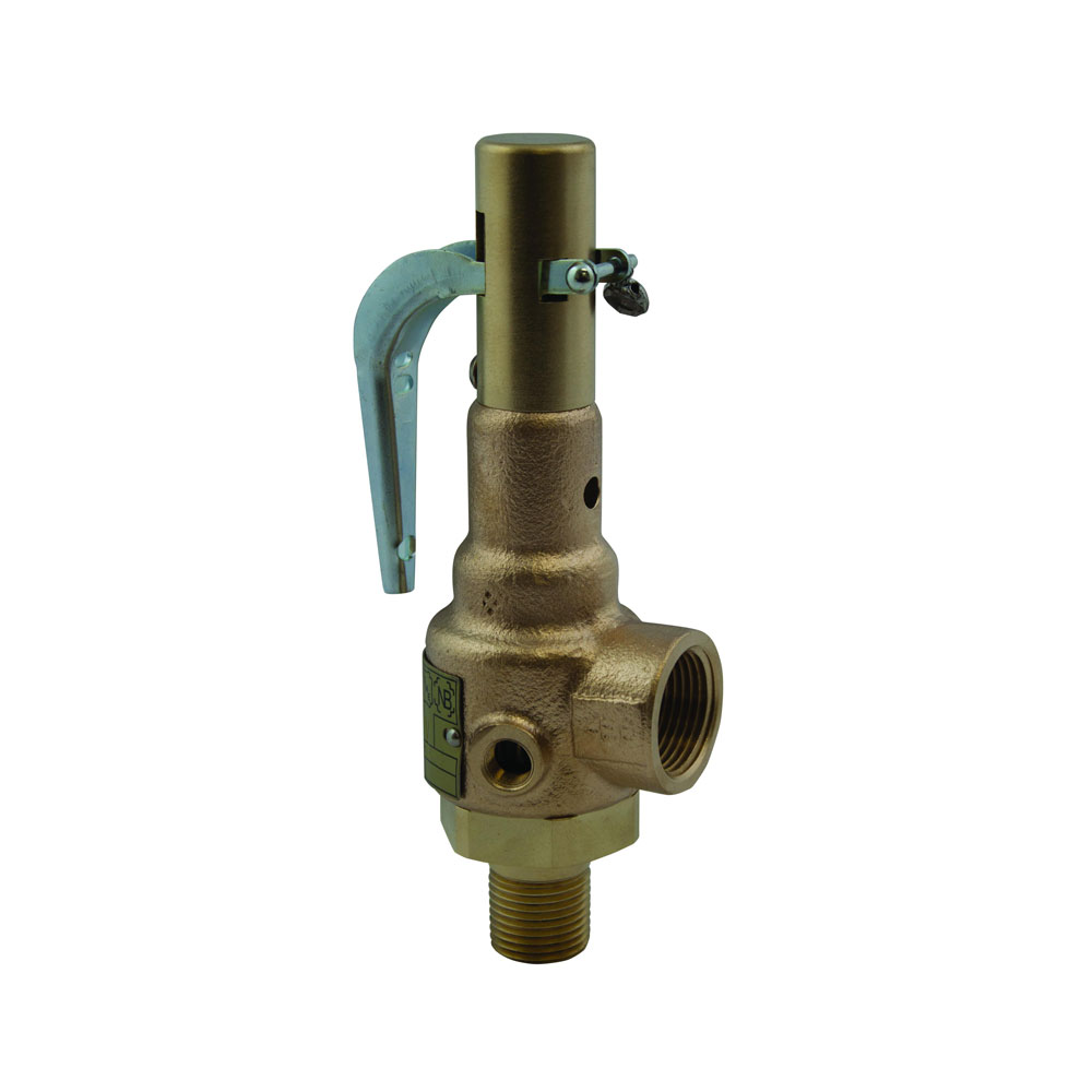 Apollo&trade; 19Kgfa60 Safety Valve, 1-1/4 x 1-1/4 in
