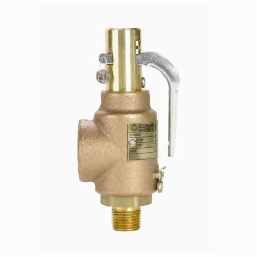 Apollo&trade; 29-402-A-100 Safety Valve, 1 x 1-1/4 in