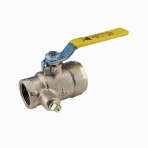 Apollo&trade; 50Gb501 2-Piece Ball Valve, 1 in