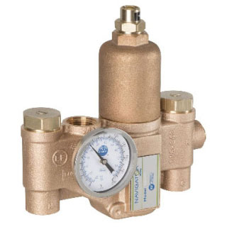 Bradley&reg; Efx25 S19-2100 Thermostatic Mixing Valve, 3/4 x 1 in
