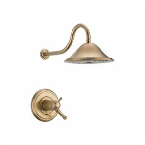 DELTA&reg; T17T297-CZ