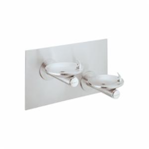 Elkay&reg; EDFPB117C