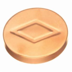 1 in Copper Dwv Test Cap