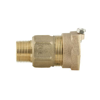 Ford C85-44-Nl Straight Coupling, 1 in