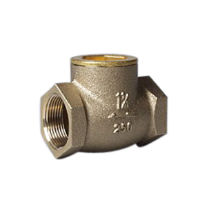 Fppi&reg; 06-866-00 Swing Check Valve, 1-1/4 in