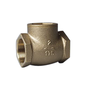 Fppi&reg; 06-870-00 Swing Check Valve, 2 in