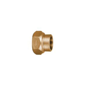 Ford C01-44-Nl Coupling, 1 in
