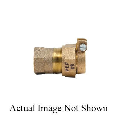 Ford C06-44-Nl Straight Coupling, 1 in