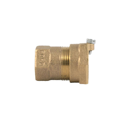 Ford C15-44-Nl Straight Coupling, 1 in