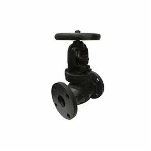 Hammond Valve 0116HI0300 IR116HI