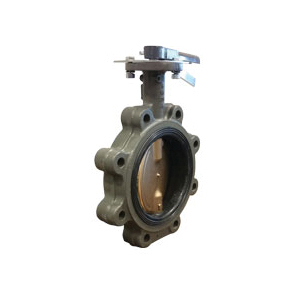 Hammond Valve 5211D010212 Butterfly Valve, 2-1/2 in