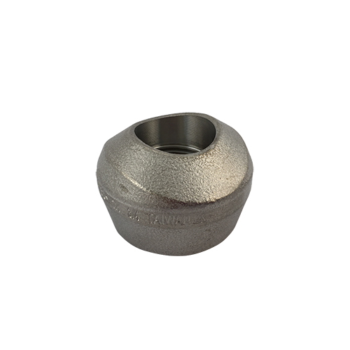 3/4 in x 36 Stainless Steel 304L 3000Lb Thread-O-Let