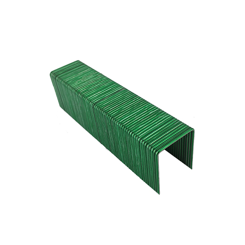 Watts Radiant&trade; 81004290