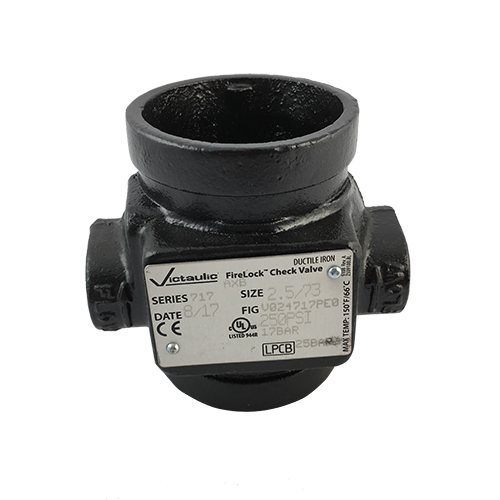 Victaulic&reg; V024717Pe0 Check Valve, 2-1/2 in