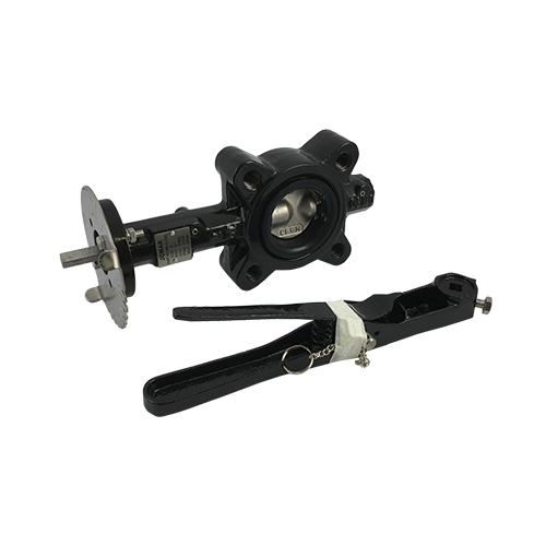 Jomar Valve&reg; 600-02Dsel Butterfly Valve, 2 in