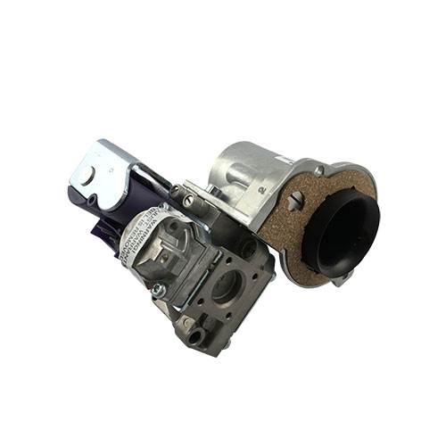 Lochinvar&reg; 100171945