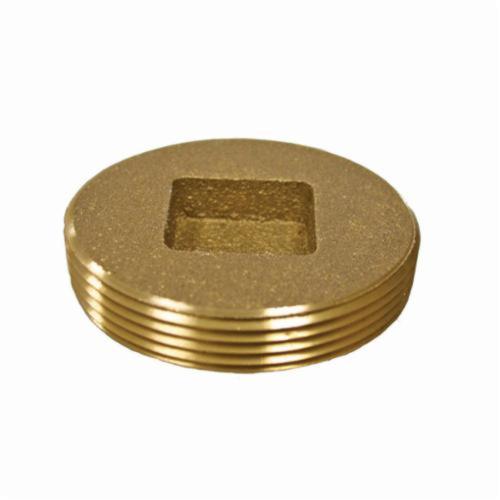 Legend 302-626 Cleanout Plug, 2-1/2 in