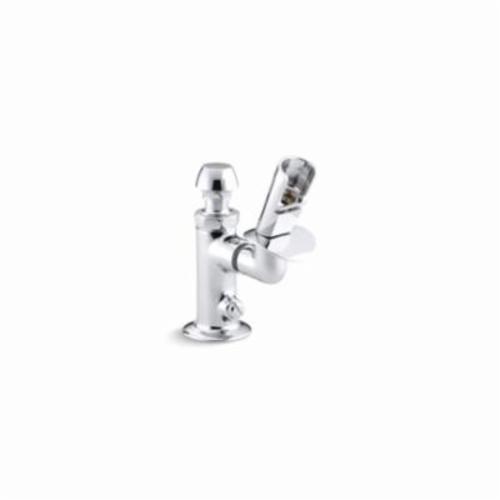 Kohler&reg; 7524-CP
