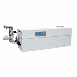 LOCHINVAR 100138395