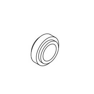 Lochinvar&reg; 100208754