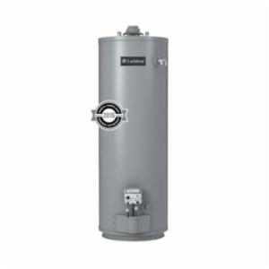 Lochinvar&reg; GSN050-40
