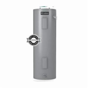 Lochinvar&reg; LET-30 100 DAK