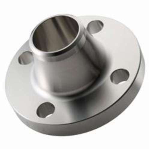 12 in Stainless Steel 150Lb 304L Weld Neck Flange Gs
