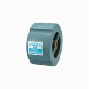 Nibco&reg; Nl7300A Swing Check Valve, 1 in