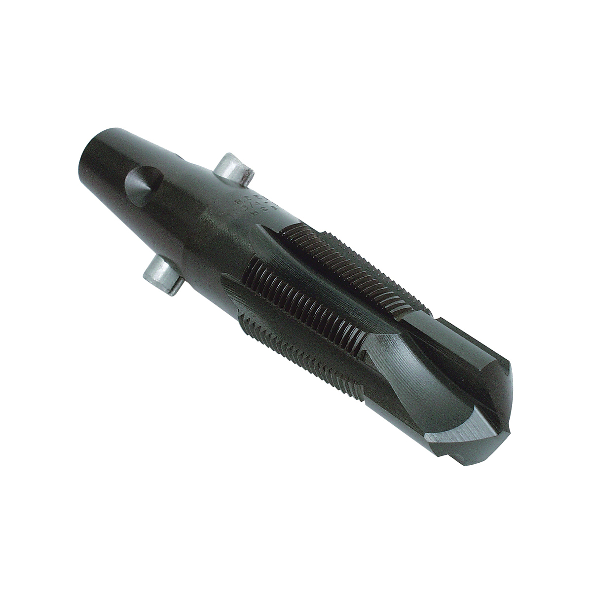 Reed 04391