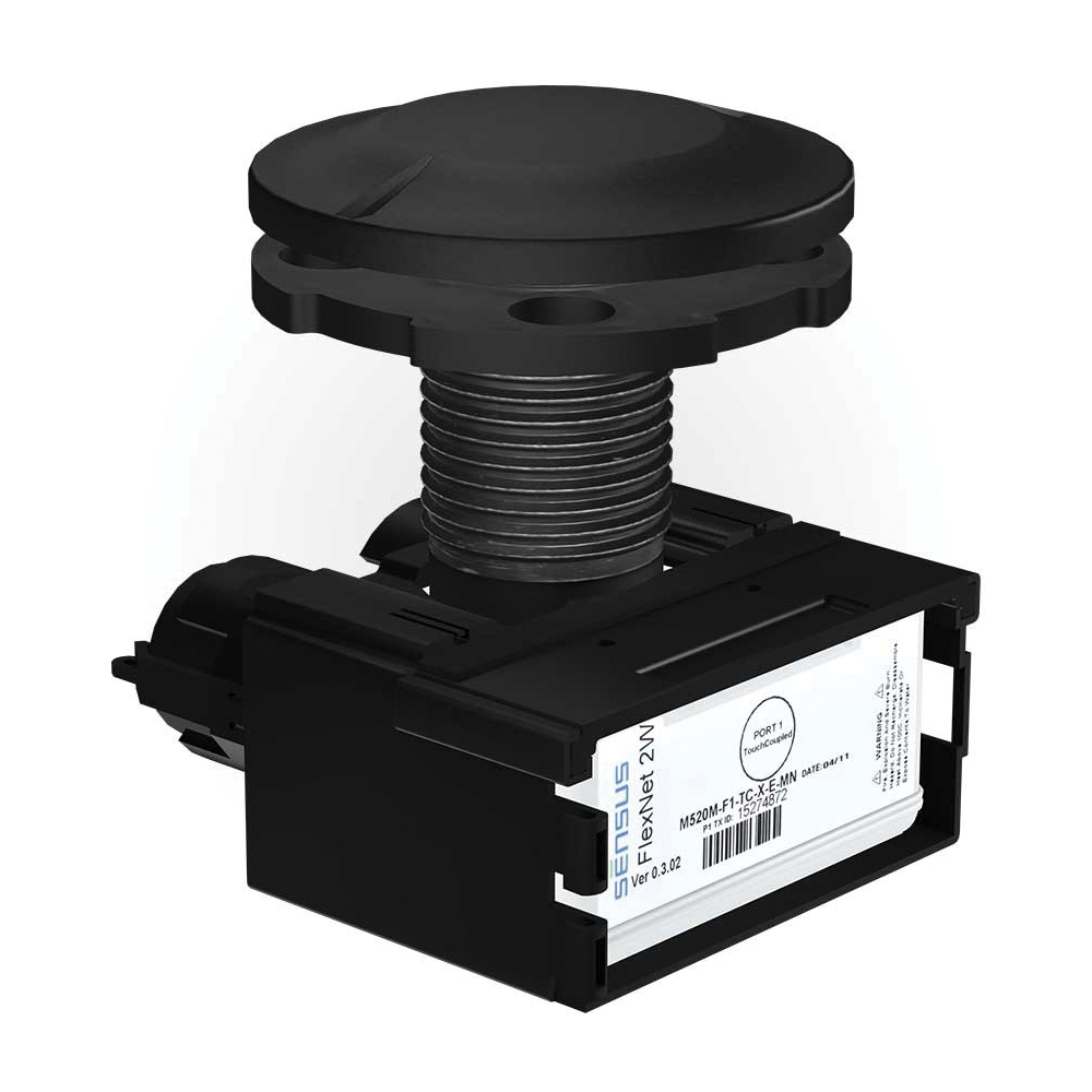 Sensus SmartPoint&reg; 520M 2-Port Pit