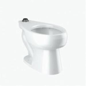 Sloan&reg; Royal&reg; 2112029