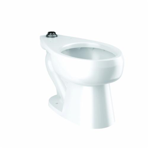 Sloan&reg; 2172009