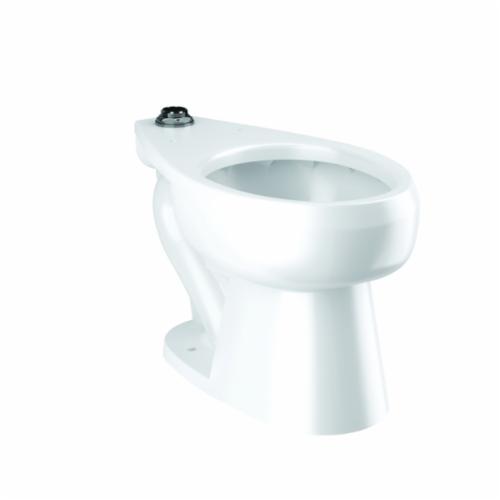 Sloan&reg; 2172029