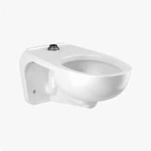 Sloan&reg; 2102459