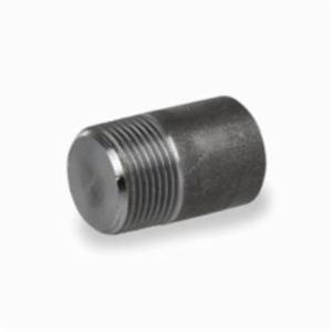 1 in Forged Steel Threaded Round Plug Gs