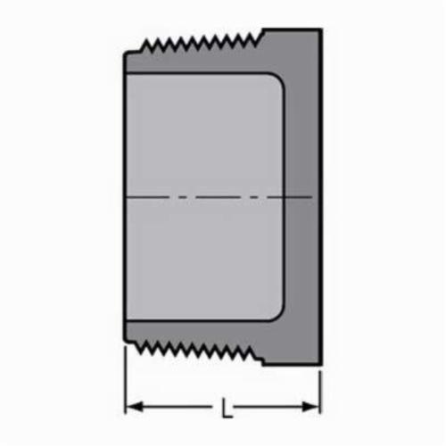 1 in Cpvc Schedule 80 Male Plug 850-010C