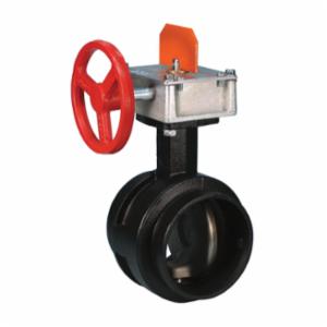 Victaulic&reg; V100705100 Butterfly Valve, 10 in