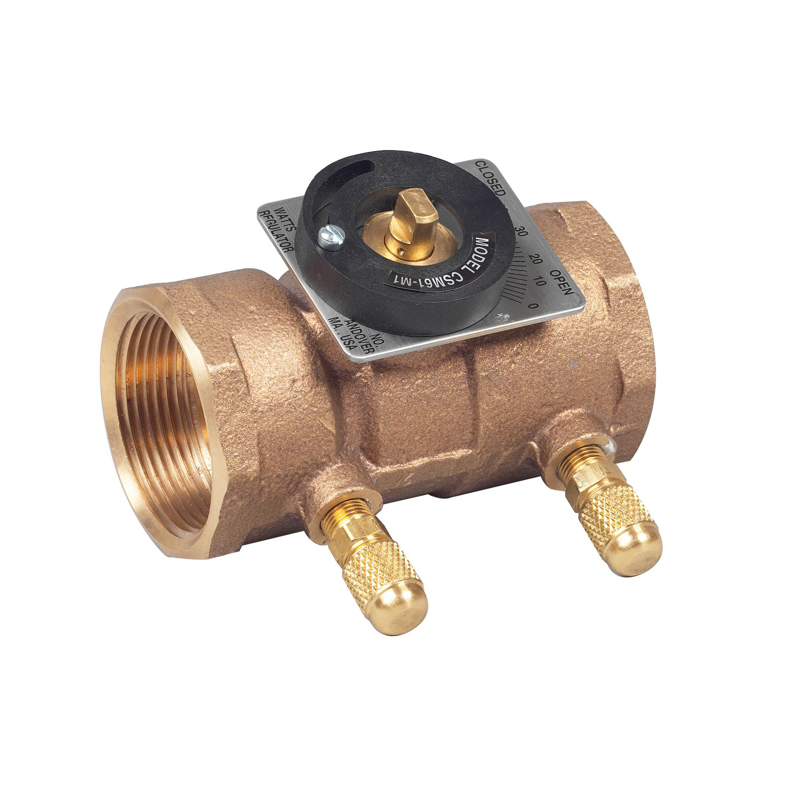 Watts&reg; 0856746 Flow Measurement Valve, 2 in
