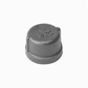1 in Galvanized Cap