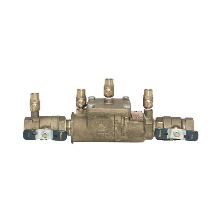 Ames By Watts&reg; 0062495 Check Valve Assembly, 2 in