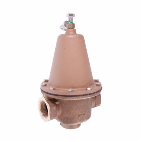 WATTS&reg; 0298585