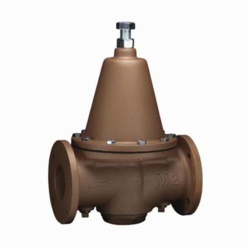 WATTS&reg; 0298620