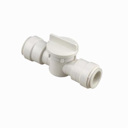 WATTS&reg; 0650246