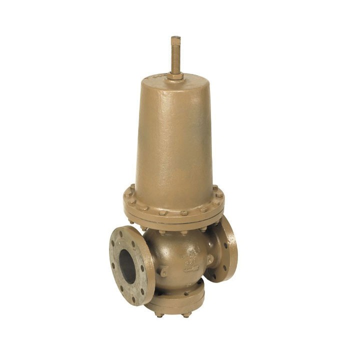 WATTS&reg; 0681040