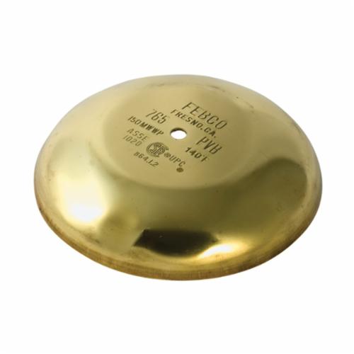 Febco&reg; 300089
