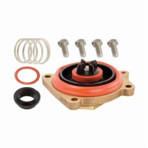 Febco&reg; 905354 Relief Valve Kit, 2 in
